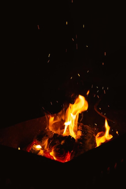 quema de leña en el brasero por la noche llamas de fuego en la oscuridad