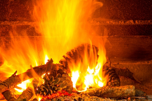 Quema de leña en chimenea con piñas.