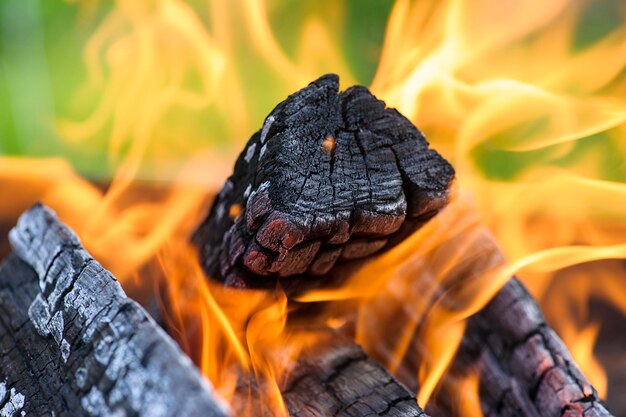 Quema de leña en la chimenea