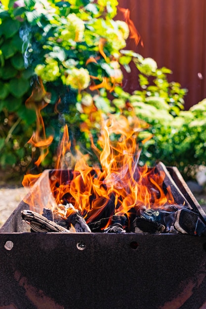 Quema de leña en la parrilla. Descanse en la naturaleza. Brasas calientes. Fuego de hoguera.