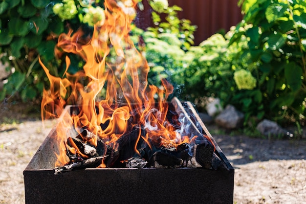 Quema de leña en la parrilla. Descanse en la naturaleza. Carbones calientes. Fuego de hoguera.