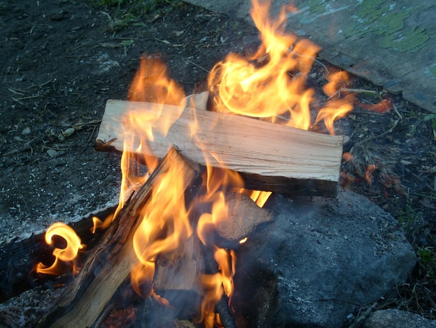 Quemando leña en un fuego Fuego brillante Lenguas de llama de color naranja