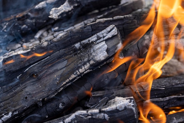 Quemando troncos y tablas en el fuego