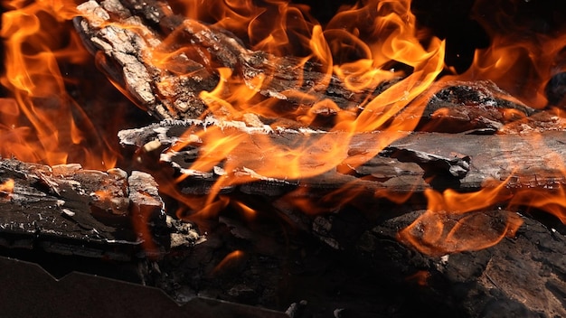 quemar leña cerca de la barbacoa bosques llama fuego ceniza carbón quemando al aire libre humo