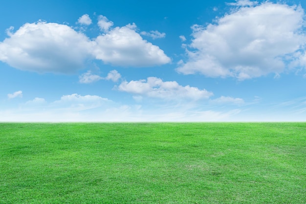 Foto querformat von grünem gras mit strahlend blauem himmel und wolkenhintergrund