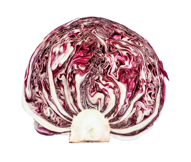 Querschnitt der Frucht von rotem Radicchio isoliert