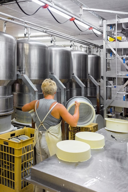 Quesero poniendo queso Gruyere de Comte en las formas, en la lechería en Franche Comte, Borgoña, en Francia.