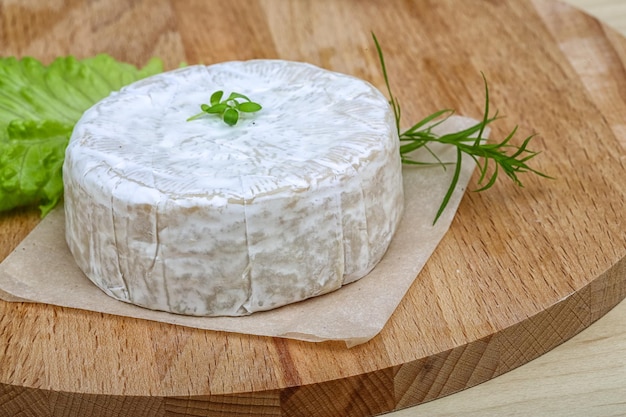 queso brie