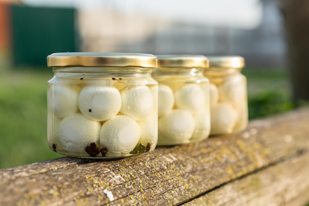 Queso de cabra ecológico marinado en aceite de oliva