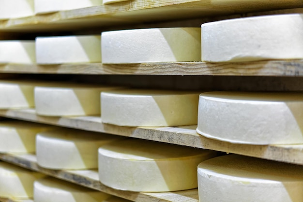 Queso Comte Young en estantes de madera en bodega de maduración en la lechería Franche Comte en Francia