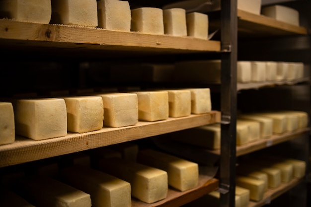 Queso elaborado con leche de vaca o de cabra almacenado en estantes de madera y dejado madurar