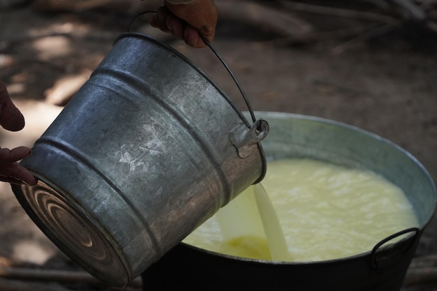 Queso fresco hecho a mano