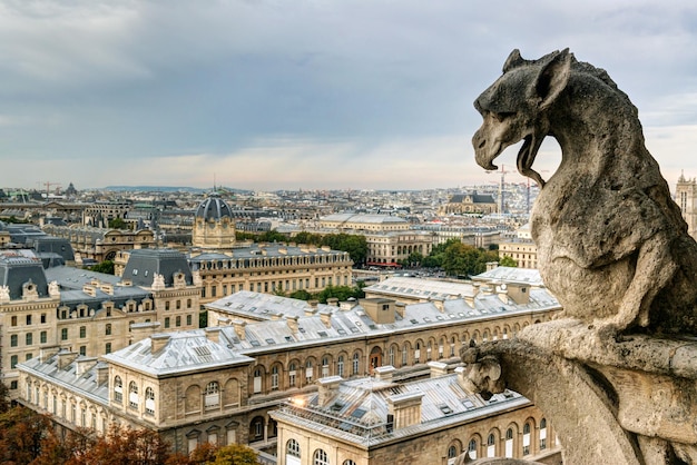 Quimera de la Catedral de Notre Dame de Paris con vistas a París