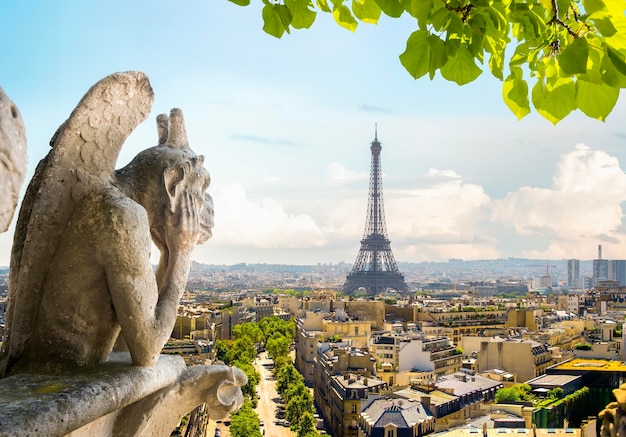 Foto las quimeras de notre dame