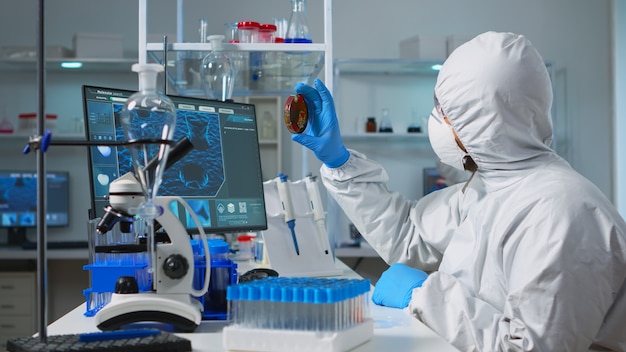 Químico con mono analizando muestras de bacterias a partir de los resultados de tipificación de placas de Petri. Equipo de médicos que examinan la evolución de la vacuna con herramientas químicas de alta tecnología para la investigación en el desarrollo del virus covid19