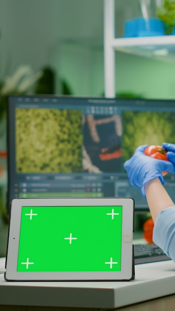 Químico pesquisador digitando experiência em microbiologia em computação