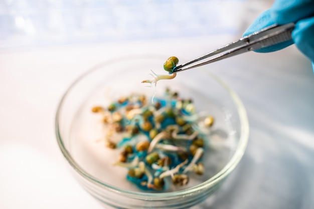 Químico sosteniendo un panel con pruebas de plantas en laboratorio