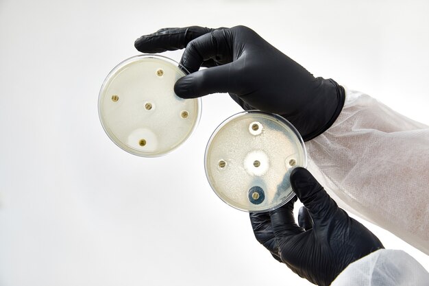 Químico usando luvas de laboratório. processo de teste com placa de vidro e amostra. vírus e o conceito de cuidados de saúde.
