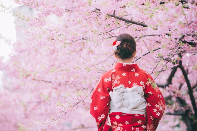 Quimono vestindo da mulher asiática com flores de cerejeira, sakura em Japão.