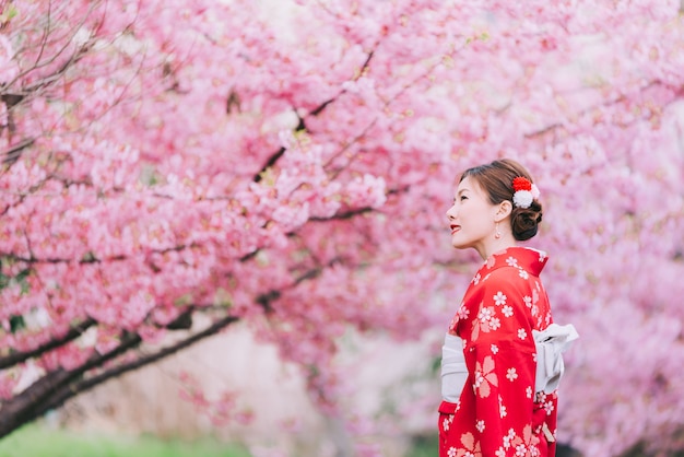 Quimono vestindo da mulher asiática com flores de cerejeira, sakura em Japão.