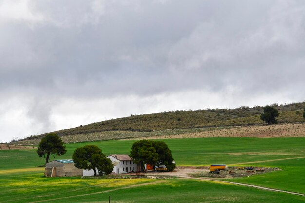 Quinta ou quinta rural - Baza