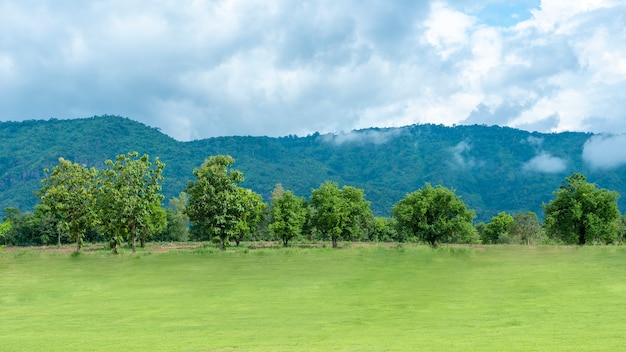 Quintal verde com montanha e céu azul