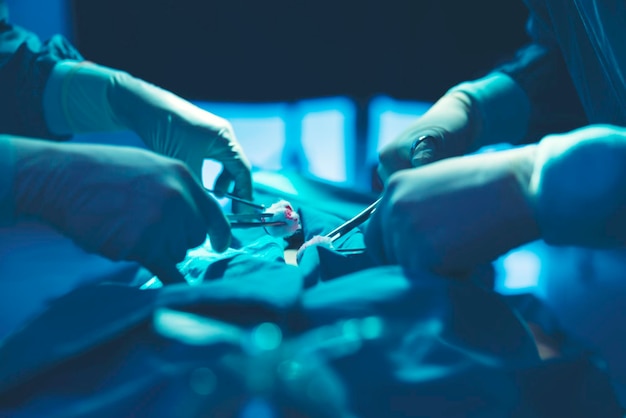 En un quirófano, un médico o equipo médico realiza un procedimiento quirúrgico.