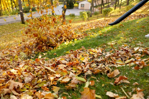 Quitar las hojas de otoño con soplador de césped en el parque