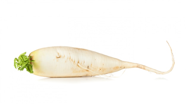 Rabanete cru daikon