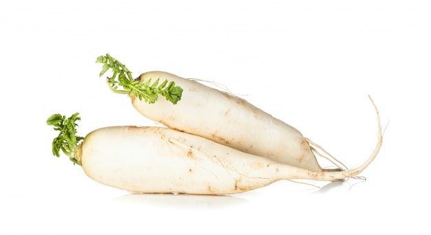 Rabanete cru Daikon