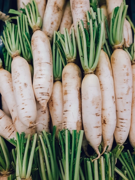 Rabanete orgânico daikon empilhado