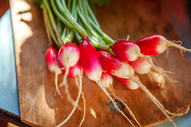 Rabanete vermelho colhido no verão Cultivo de vegetais orgânicos Grande monte de rabanete de jardim suculento fresco cru na placa de madeira pronto para comer Alimentos saudáveis orgânicos vegan conceito de dieta vegetariana orgânica