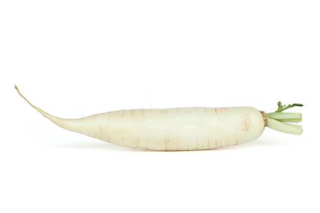 Rabanetes daikon isolados no fundo branco.