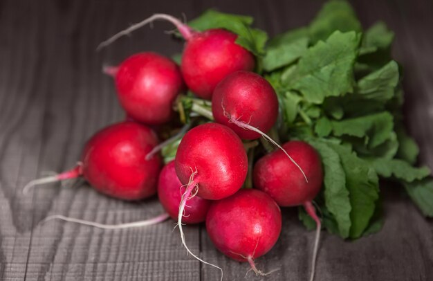 Rabanetes vermelhos suculentos maduros com tops deitado na mesa de madeira