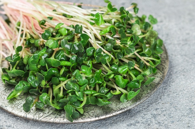 Rábano orgánico verde crudo o Microgreens de daikon