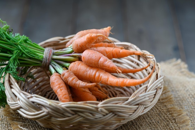 Rábano rojo aislado en alimentos saludables blancos Alto en fósforo de calcio