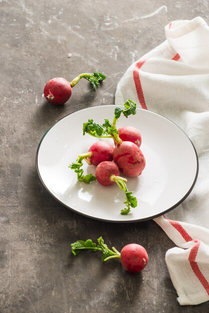 Rábano rojo de la cosecha de verano. Cultivo de hortalizas orgánicas. Rábano de jardín jugoso fresco crudo en placas oscuras listo para comer.