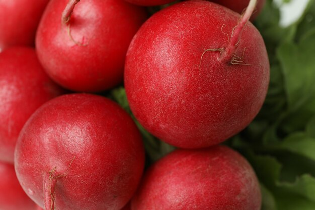 Rábano rojo fresco en toda la superficie, cerrar