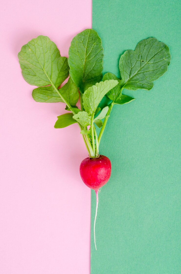 Foto rábano rojo en placa. concepto de comida vegetariana, diseño, menú.