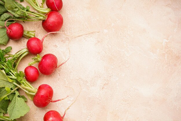 Rábanos rojos en un espacio de fondo beige para la vista superior del texto