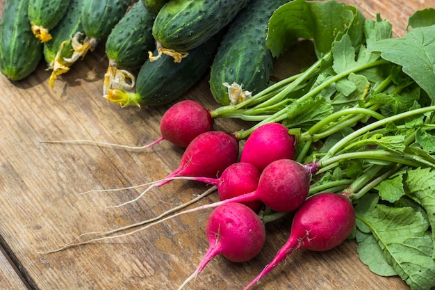 Rábanos de las verduras frescas, pepinos en la tabla. Comida sana. Copia espacio vista desde abo