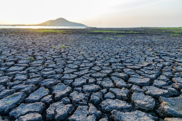 Rachaduras na superfície da terra são alteradas pelo encolhimento da lama devido às condições de seca do terreno