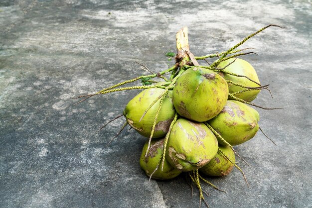 Foto el racimo de coco en el suelo de cemento de tailandia