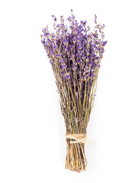 Un racimo de lavanda seca aislado sobre un fondo blanco