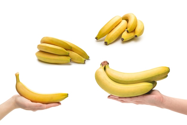 Un racimo de plátanos en mano de mujer aislado sobre fondo blanco.