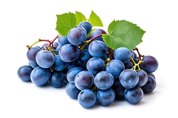 Racimo seco de uvas azules aislado sobre fondo blanco ai generativo