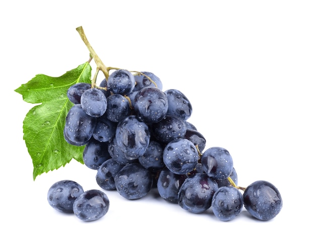 Racimo de uvas azul oscuro frescas dulces aislado