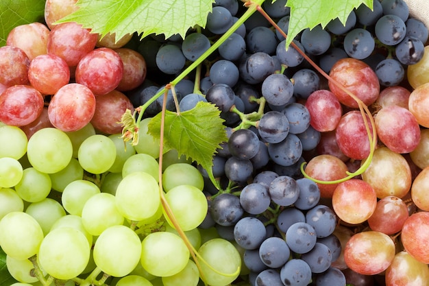 Racimo de uvas coloridas con hojas