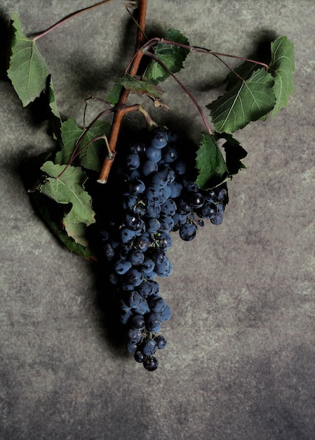 Racimo de uvas con hojas sobre gris