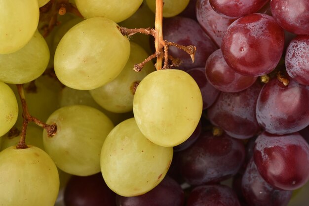 Racimo de uvas jugosas maduras frescas